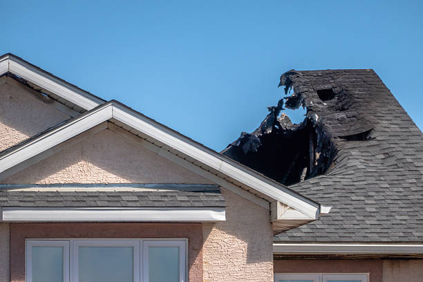 Top rated local Odor Removal specialists in Narberth, PA